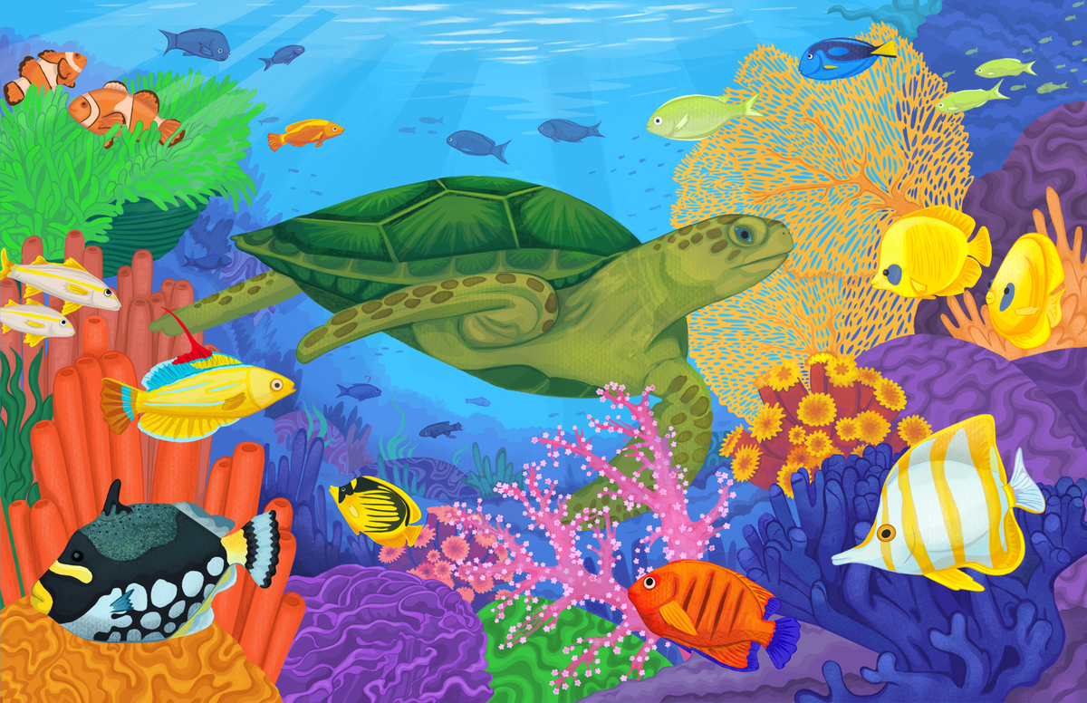 Sea Turtle Adventure Puzzle